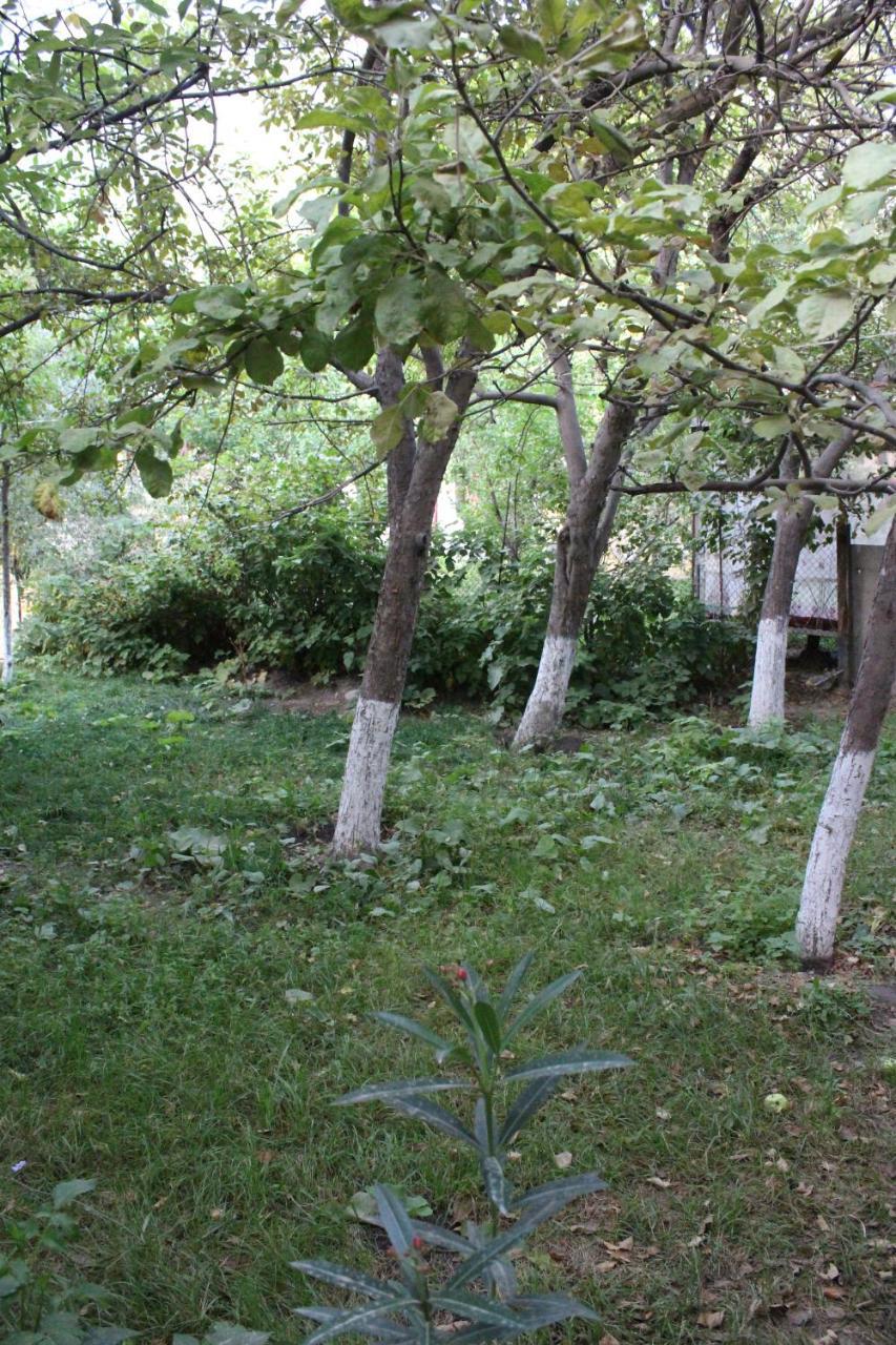 Riverside Khorog 外观 照片